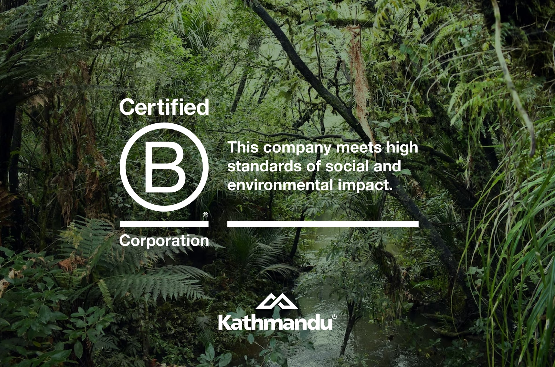 Kathmandu is a certified B Corporation. This company  meets high standards of social and environmental impact.